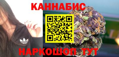 крисы Донской