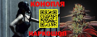 крисы Донской