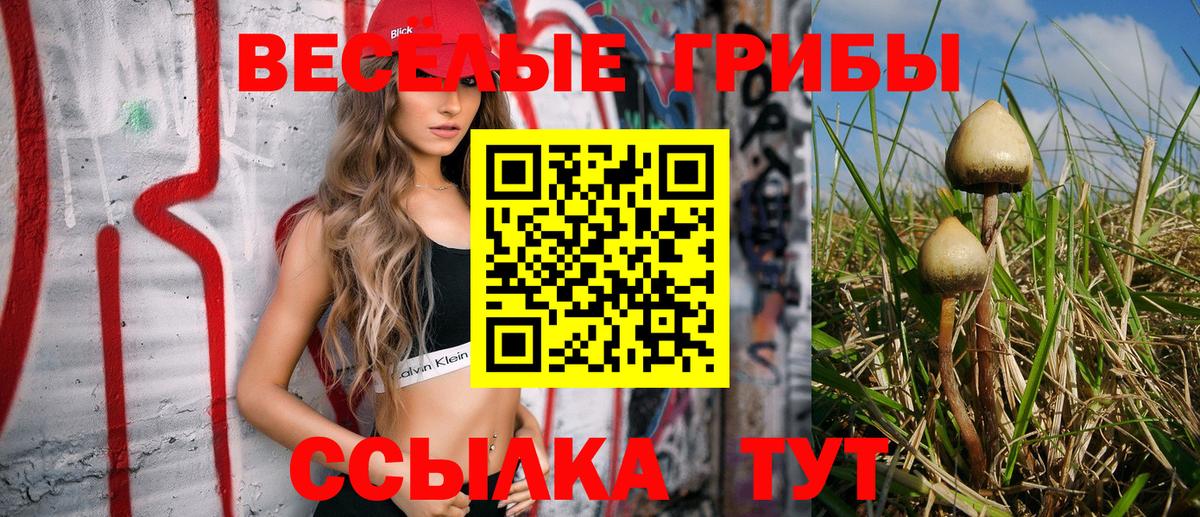 Галлюциногенные грибы мицелий  Галлюциногенные грибы Magic Shrooms  Назрань 