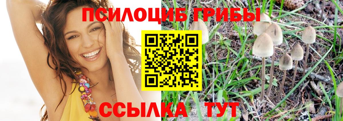 Галлюциногенные грибы GOLDEN TEACHER Назрань