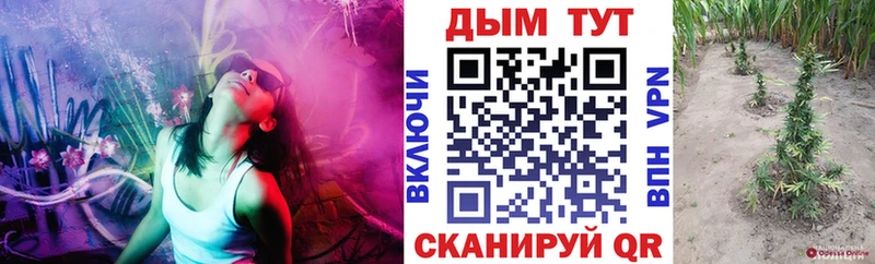 Каннабис тримм  кракен онион  Назрань 